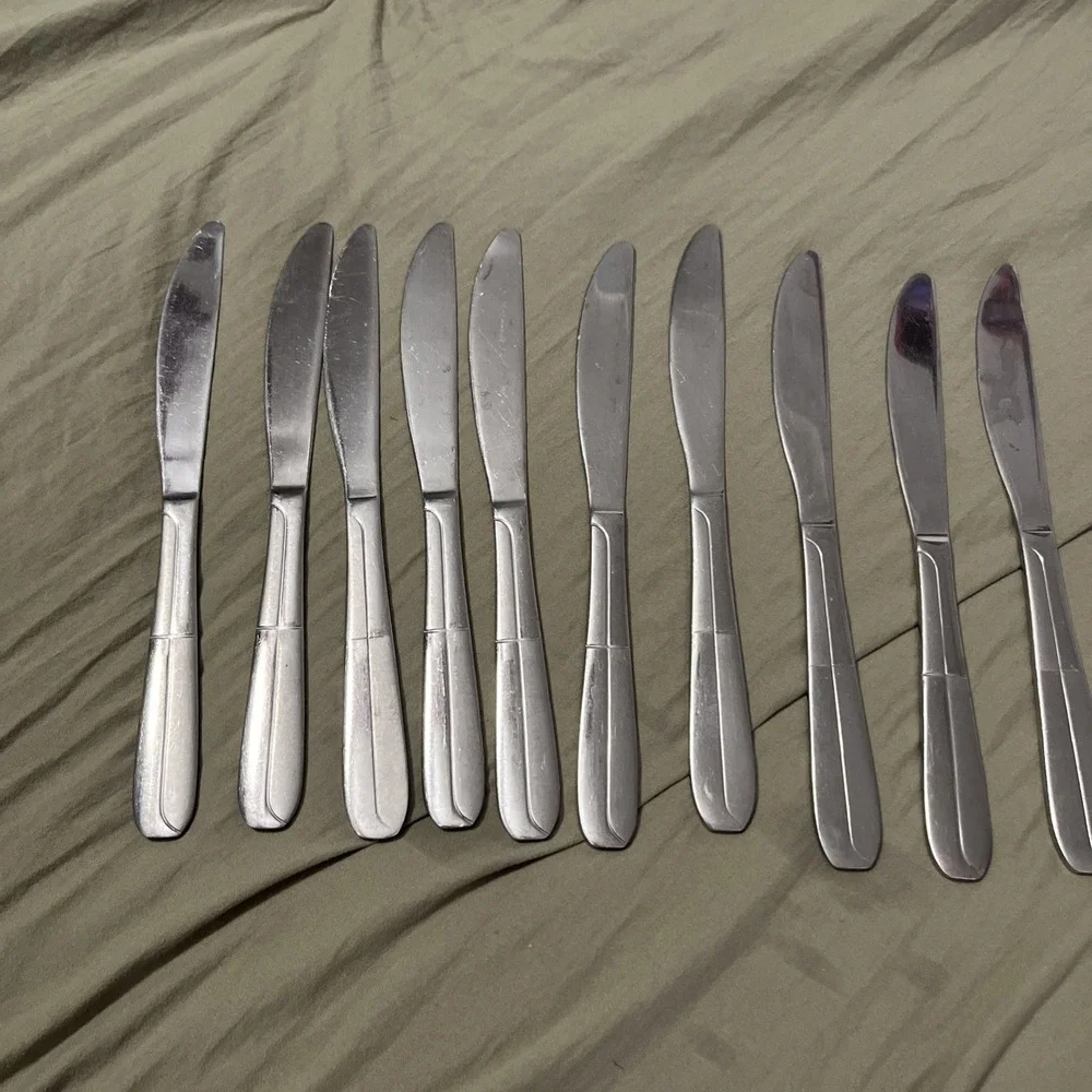 Cambridge Stainless Flatware CBS176  10 Dinner Knives